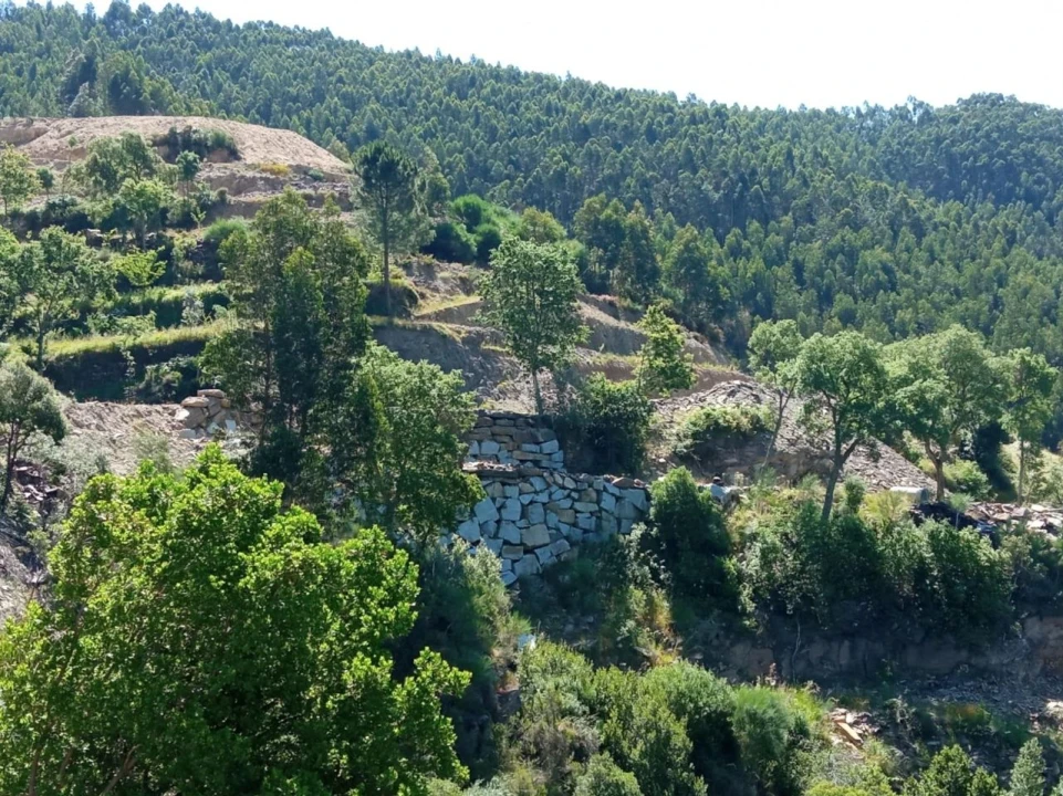 Quinta T0 para Venda em Vila Viçosa Foto 5