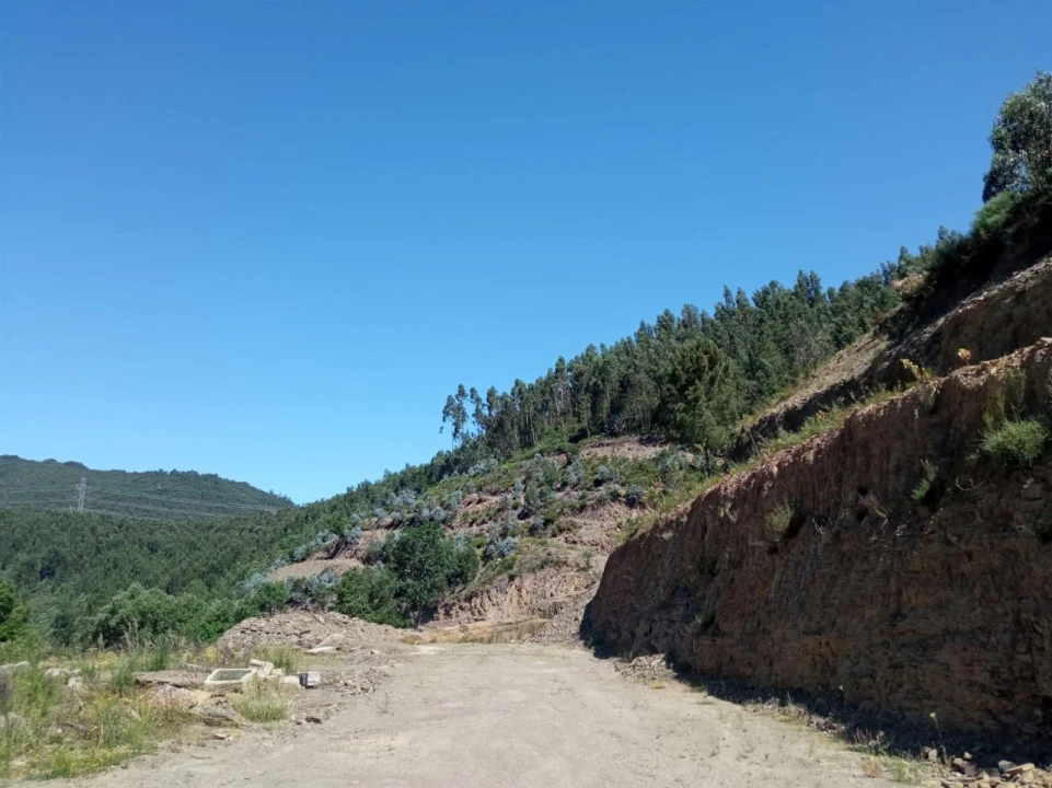 Quinta T0 para Venda em Vila Viçosa Foto 11