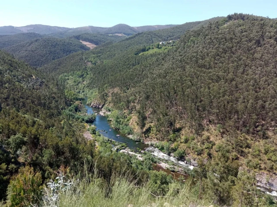 Quinta T0 para Venda em Vila Viçosa Foto 8