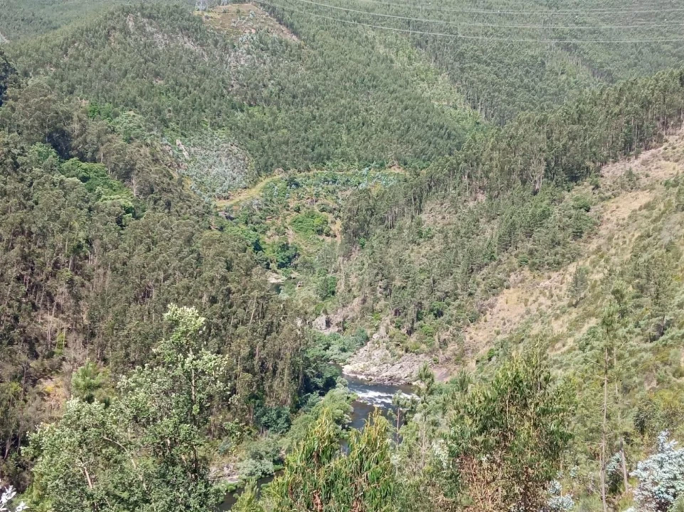 Quinta T0 para Venda em Vila Viçosa Foto 9