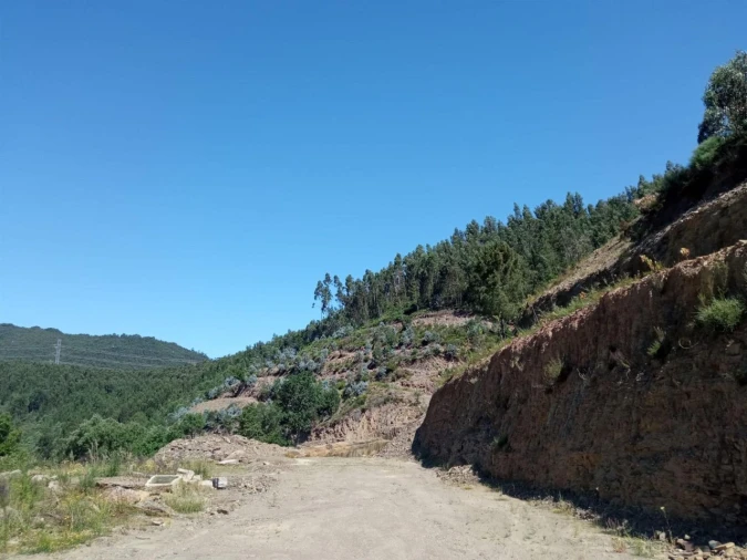 Quinta T0 para Venda em Vila Viçosa Foto 11