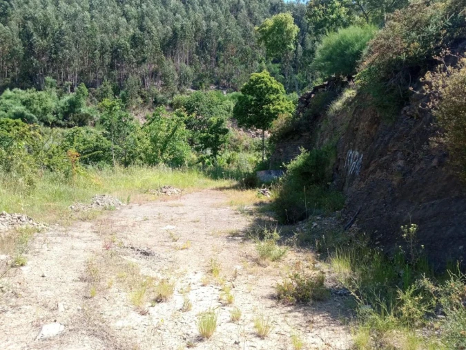 Quinta T0 para Venda em Vila Viçosa Foto 13