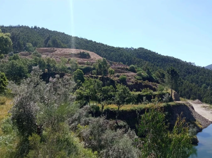 Quinta T0 para Venda em Vila Viçosa Foto 6