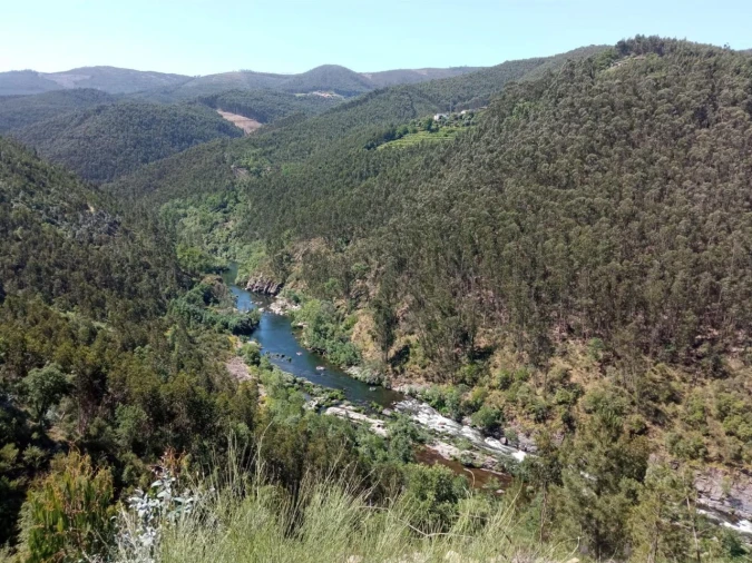 Quinta T0 para Venda em Vila Viçosa Foto 8