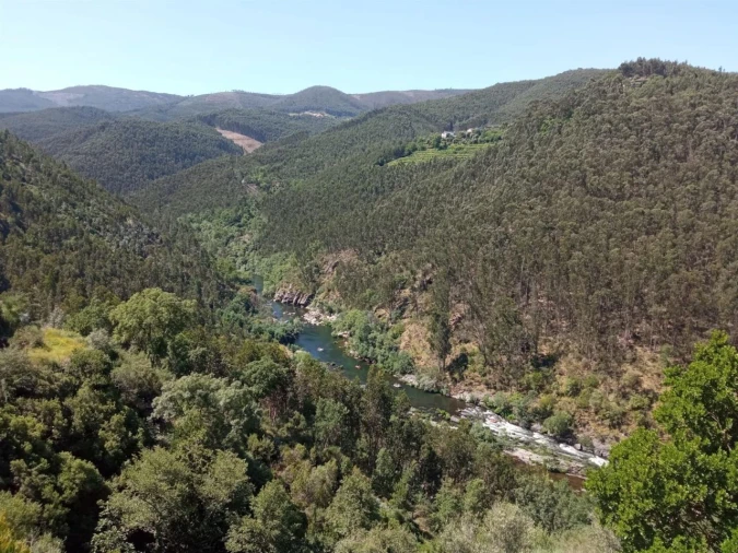 Quinta T0 para Venda em Vila Viçosa Foto 7