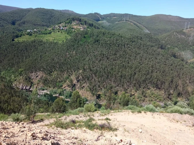 Quinta T0 para Venda em Vila Viçosa Foto 14
