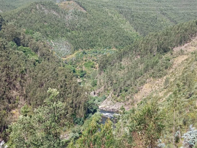 Quinta T0 para Venda em Vila Viçosa Foto 9