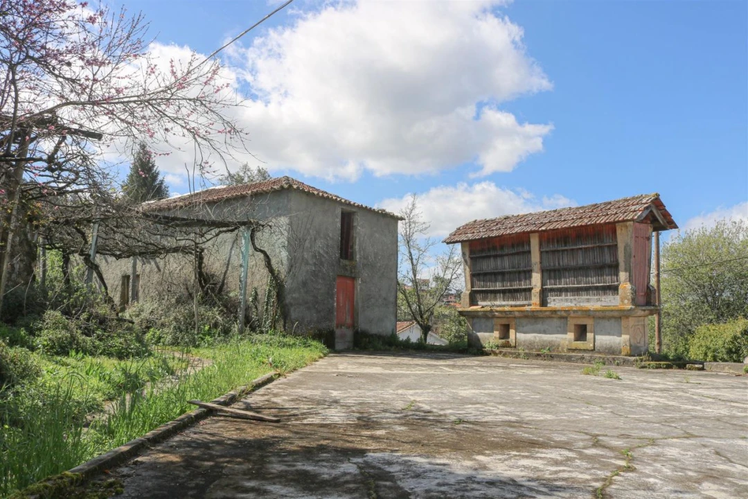 Quinta T7 para Venda em Mouta Foto 5