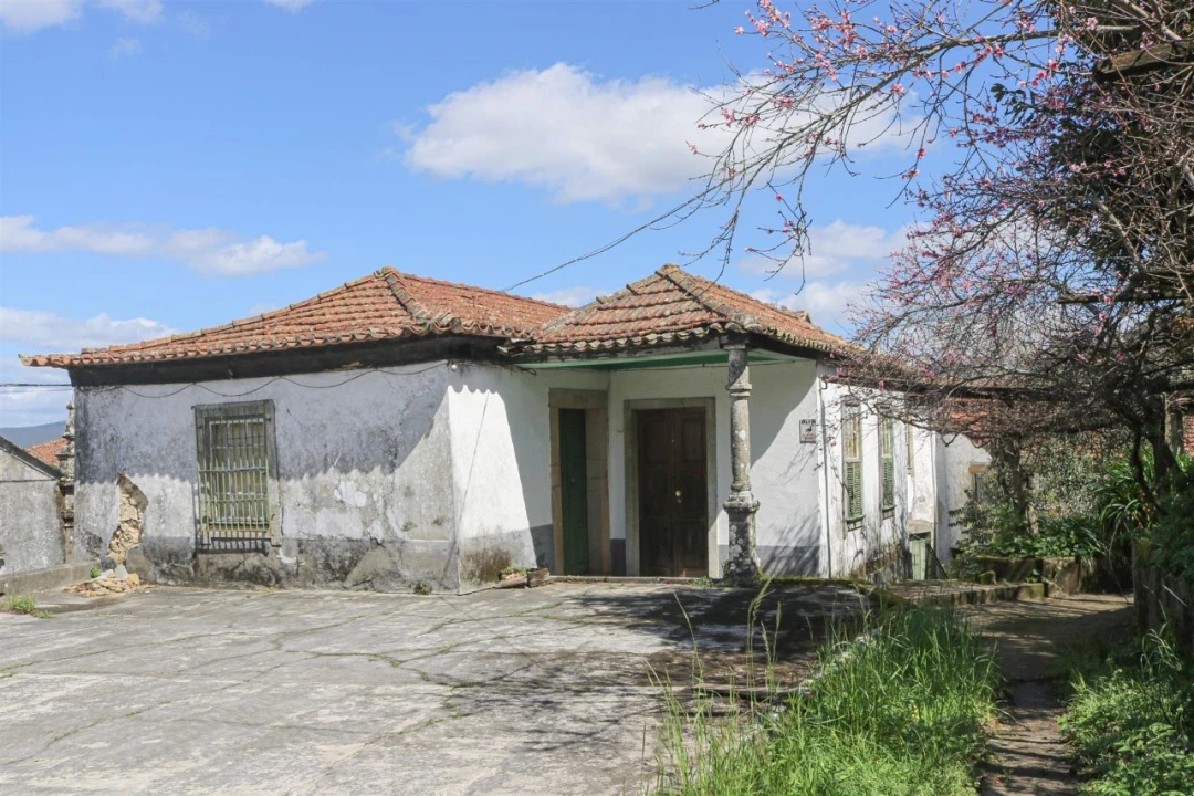 Quinta T7 para Venda em Mouta Foto 4