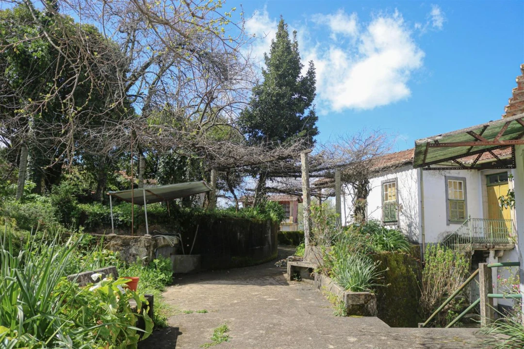 Quinta T7 para Venda em Mouta Foto 6