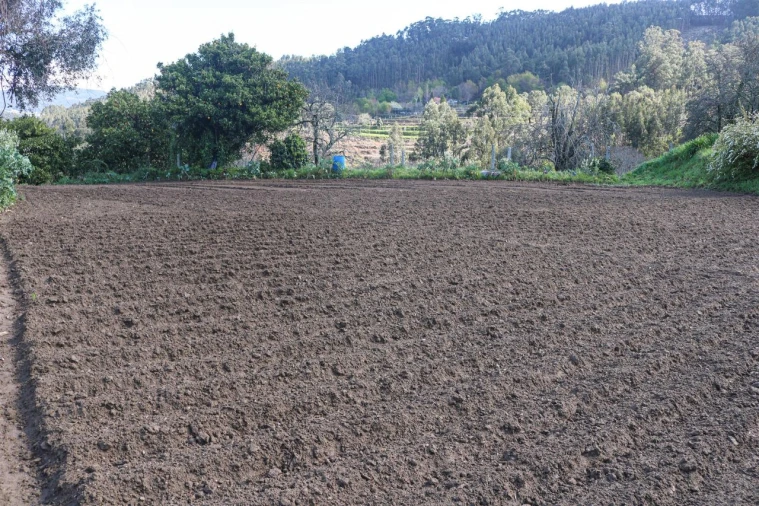 Quinta T7 para Venda em Mouta Foto 13