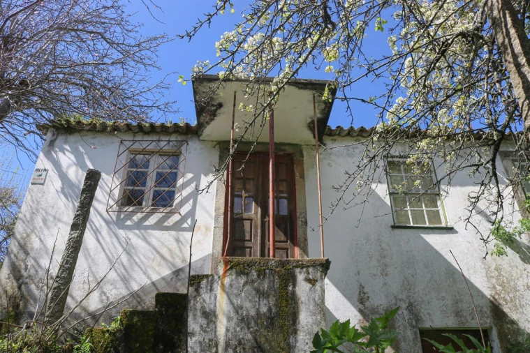 Quinta T7 para Venda em Mouta Foto 3