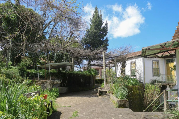 Quinta T7 para Venda em Mouta Foto 6