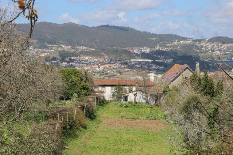 Quinta T7 para Venda em Mouta Foto 14