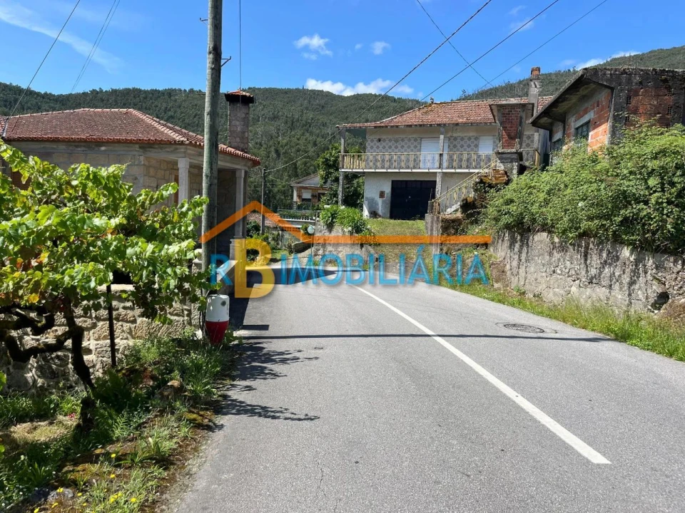 Quinta T1 para Venda em Ribeira Foto 3