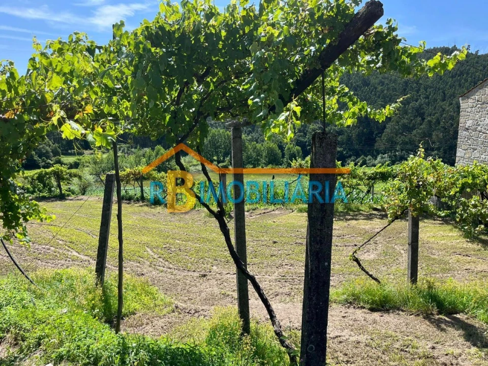 Quinta T1 para Venda em Ribeira Foto 7