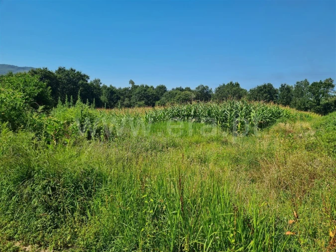 Terreno para Venda em Taíde Foto 5