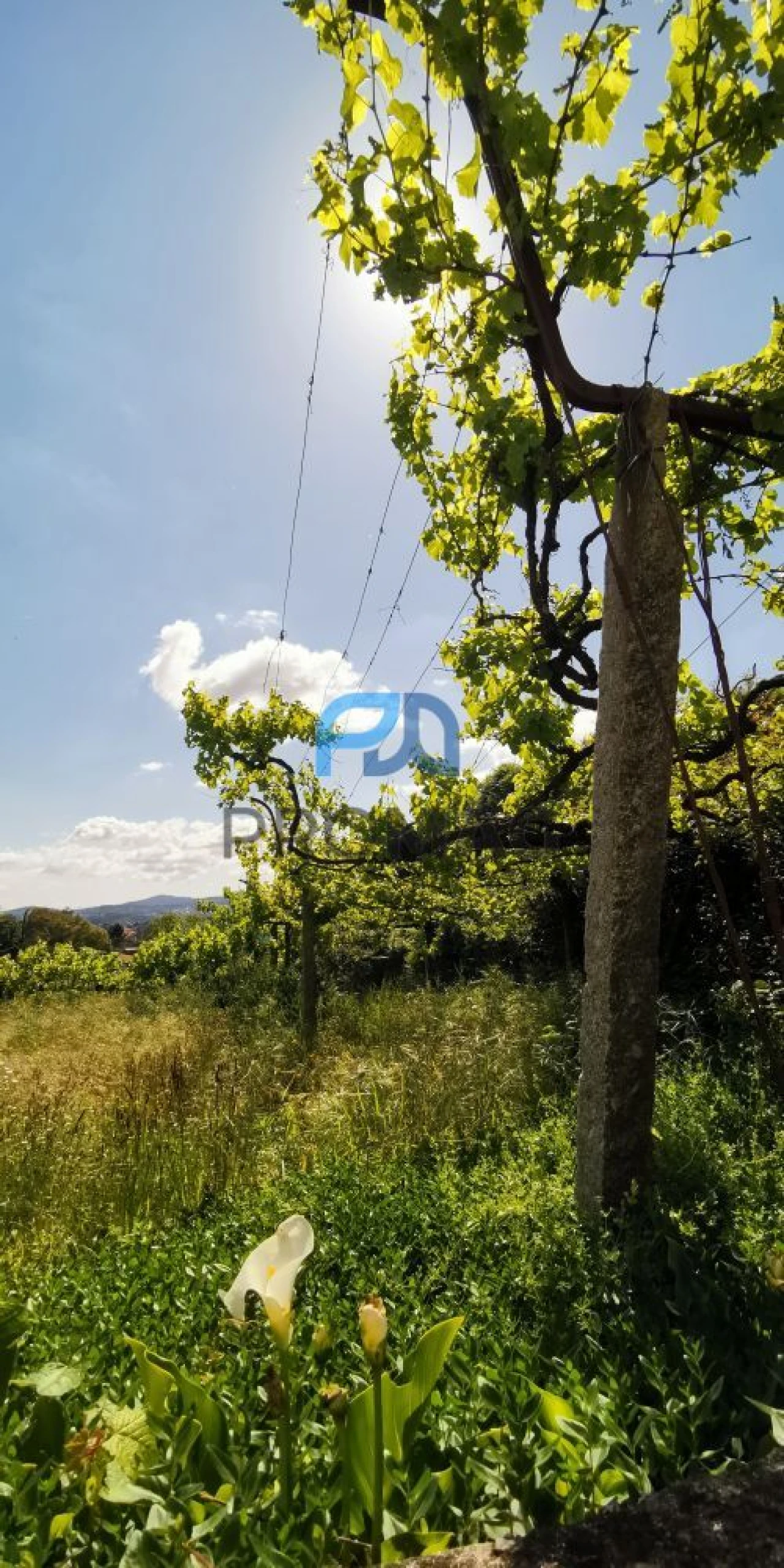 Moradia T5 para Venda em Casais Foto 44