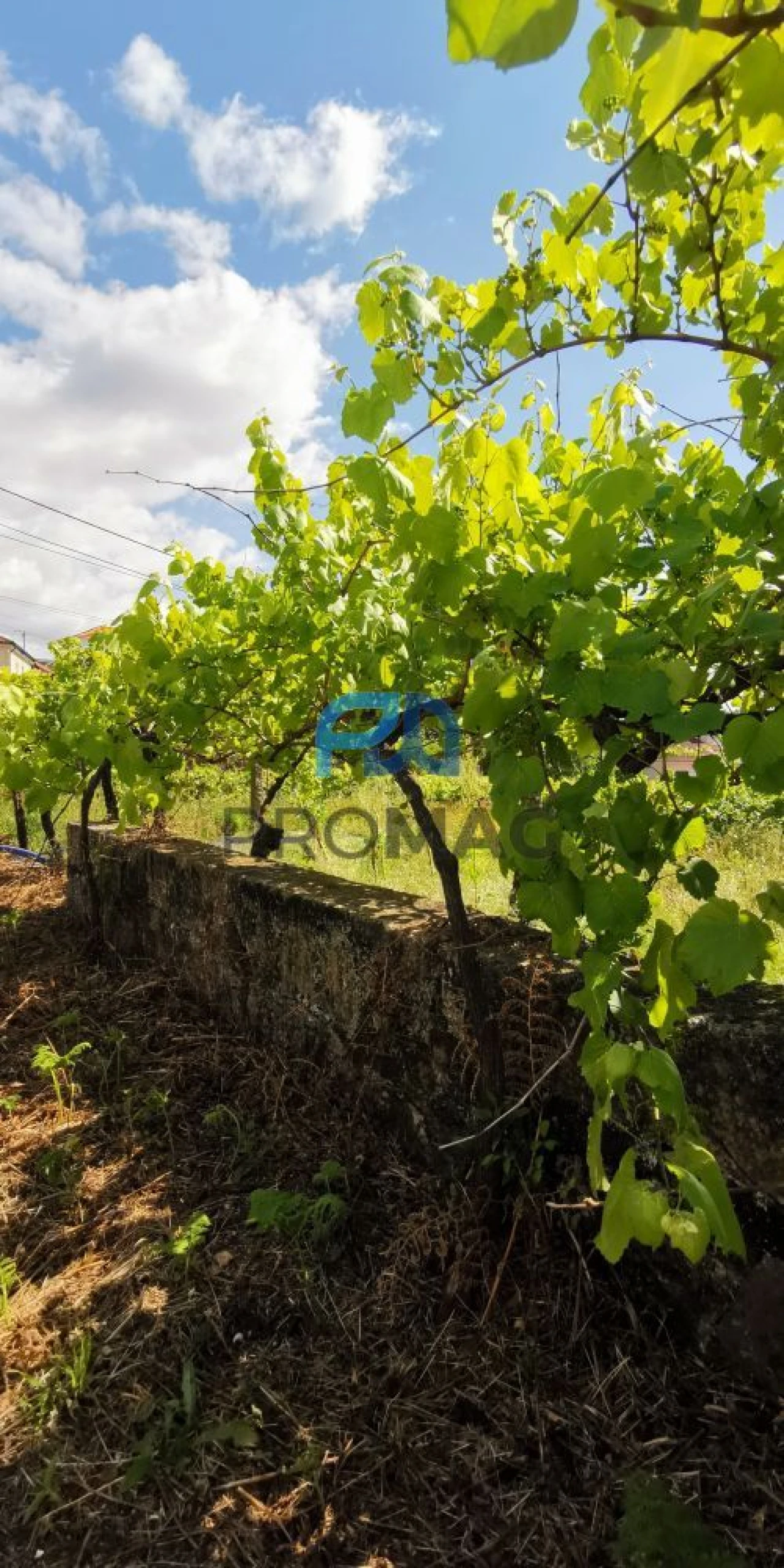 Moradia T5 para Venda em Casais Foto 46