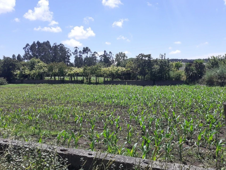 Terreno para Venda em Maia Foto 1