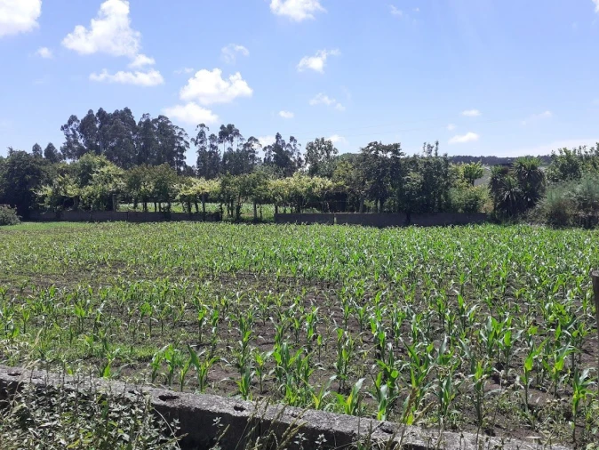 Terreno para Venda em Maia