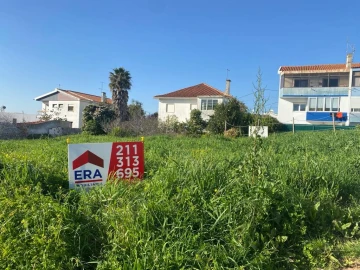 Terreno para Venda em Quintinha