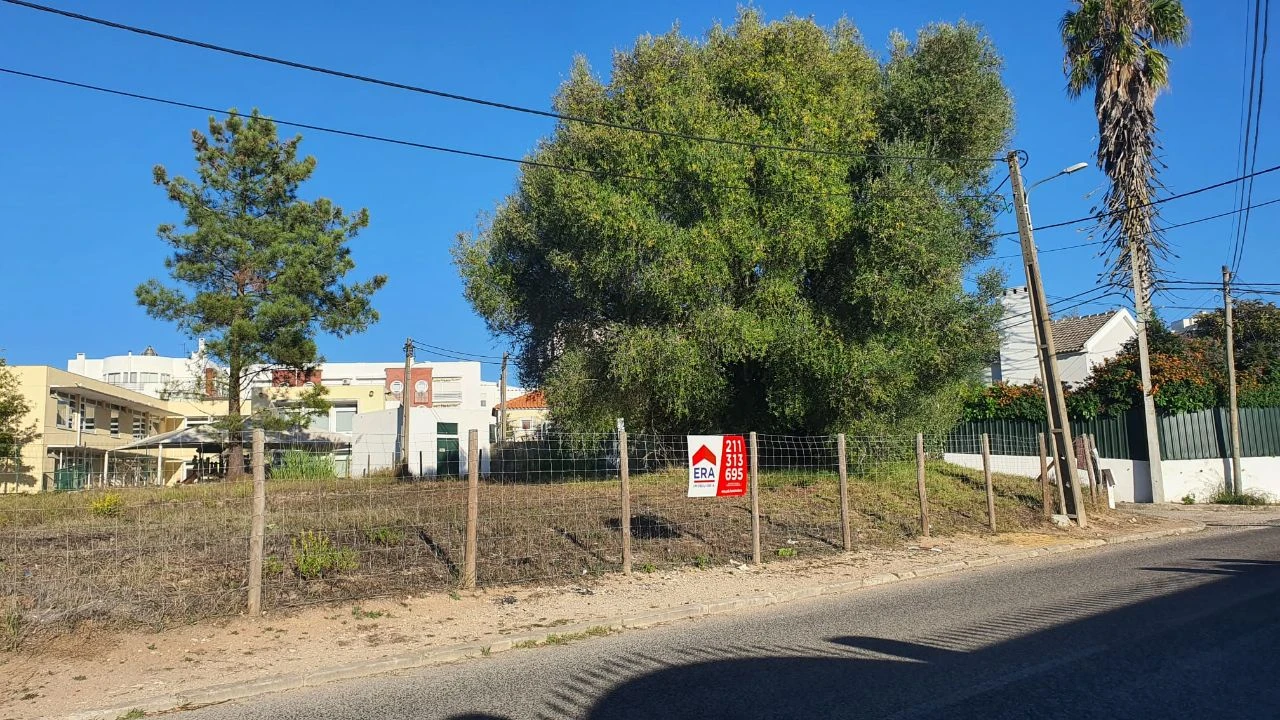 Terreno para Venda em Cotovia Foto 3