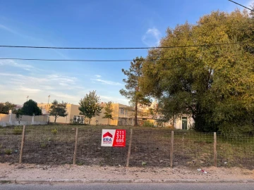 Terreno para Venda em Cotovia
