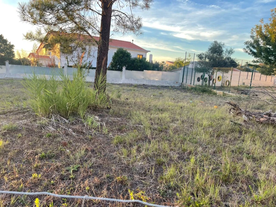 Terreno para Venda em Cotovia Foto 6