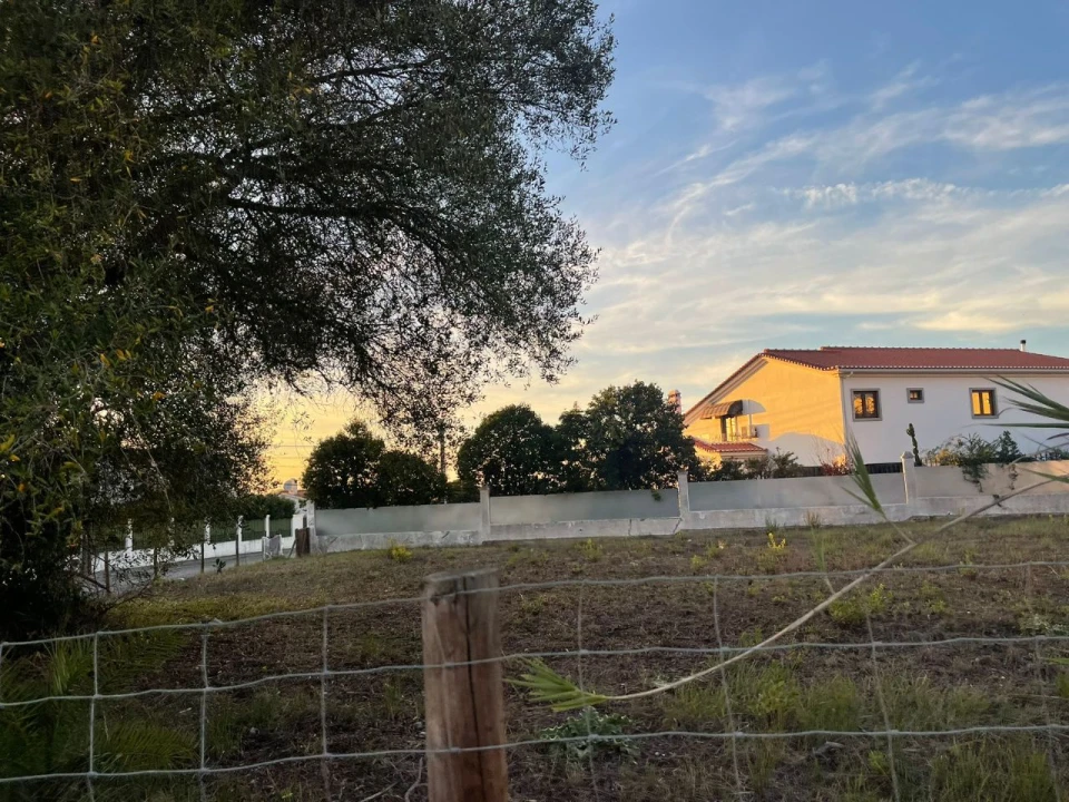 Terreno para Venda em Cotovia Foto 7