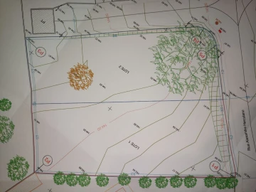 Terreno para Venda em Cotovia