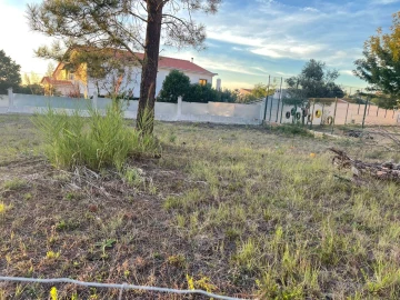 Terreno para Venda em Cotovia
