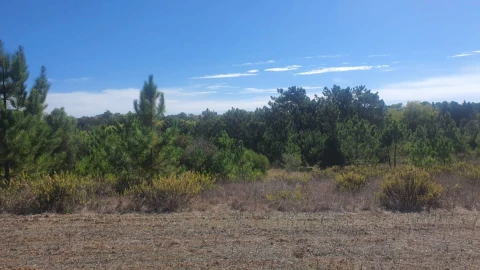 Terreno para Venda em Alfarim