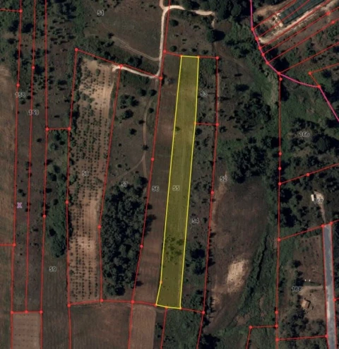 Terreno para Venda em Alfarim