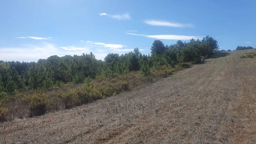 Terreno para Venda em Alfarim Foto 2