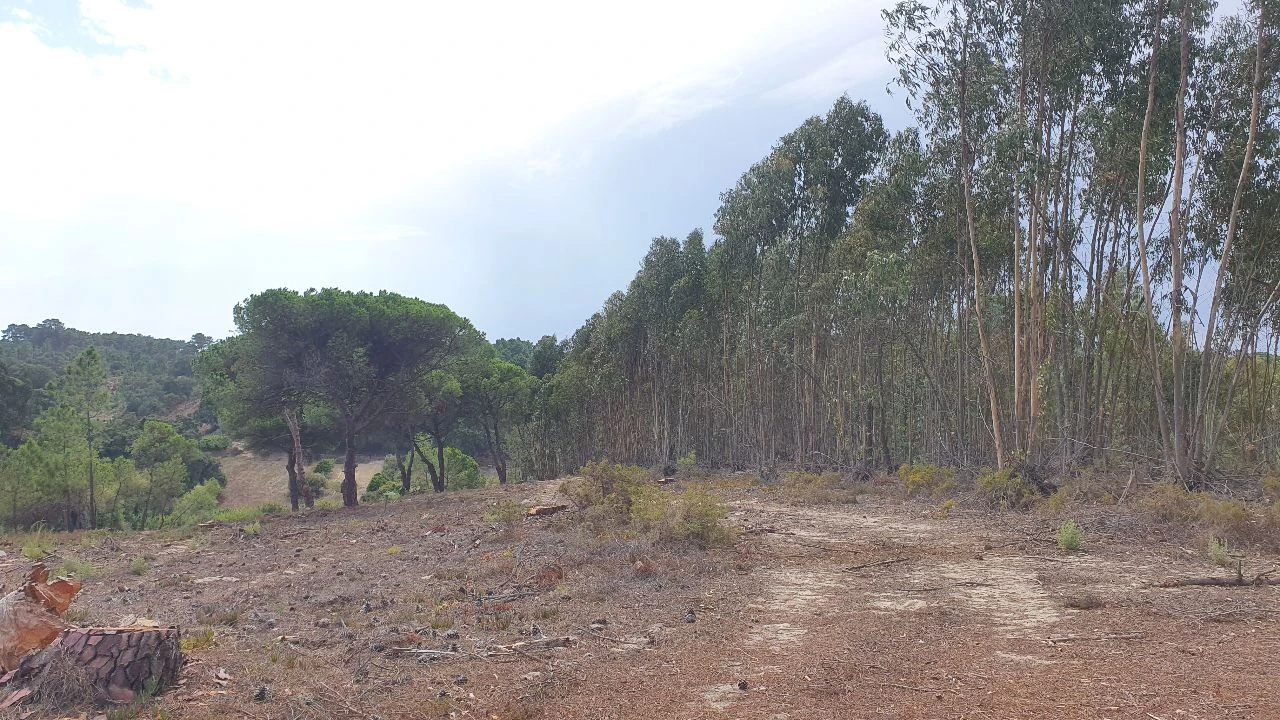 Terreno para Venda em Aiana Foto 1