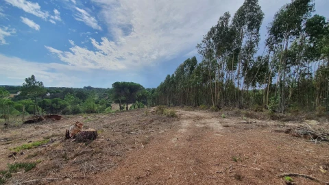 Terreno para Venda em Aiana