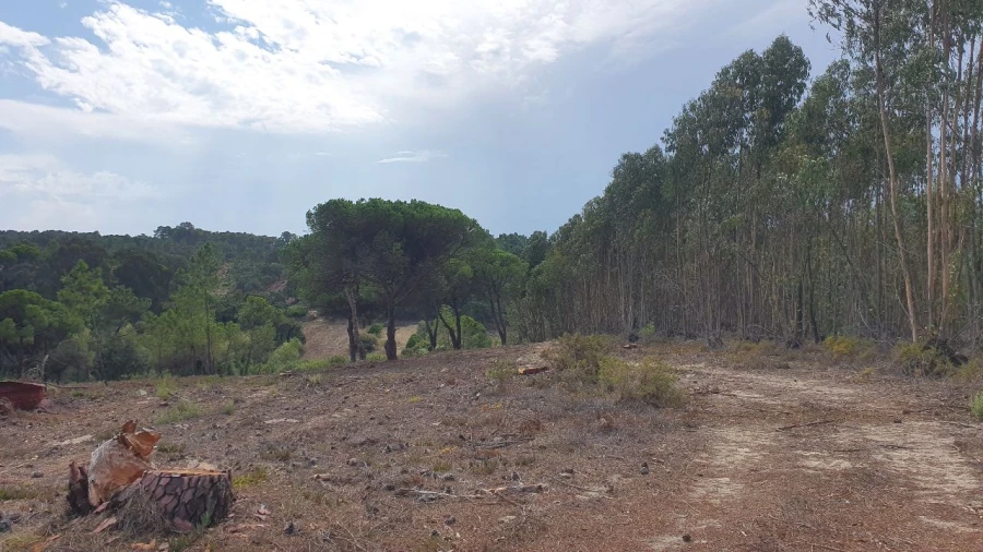 Terreno para Venda em Aiana Foto 2