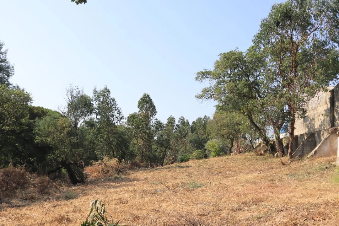 Terreno para Venda em Quinta do Alfaiate Foto 3