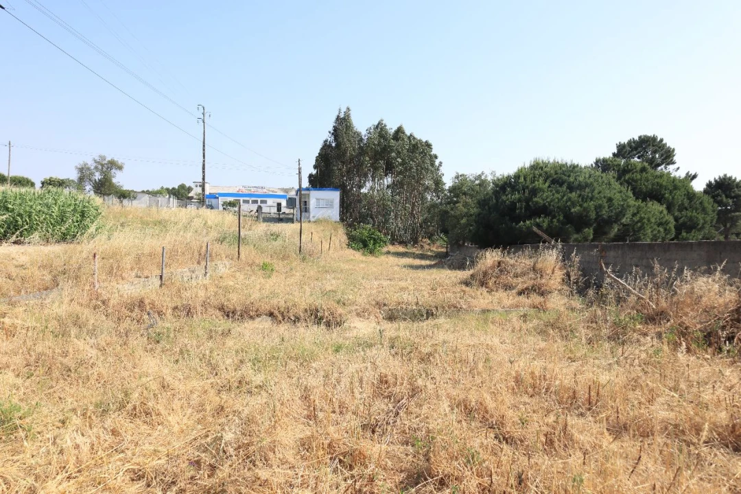 Terreno para Venda em Quinta do Alfaiate Foto 4