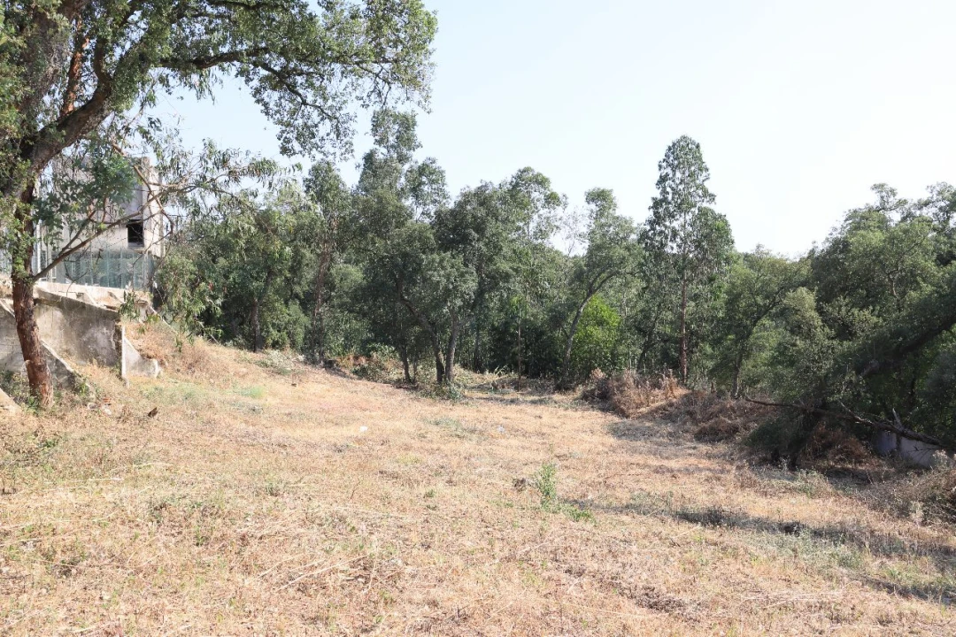 Terreno para Venda em Quinta do Alfaiate Foto 7