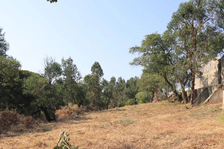 Terreno para Venda em Quinta do Alfaiate Foto 3
