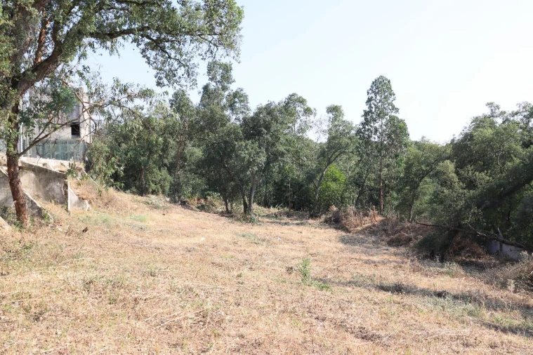 Terreno para Venda em Quinta do Alfaiate Foto 7