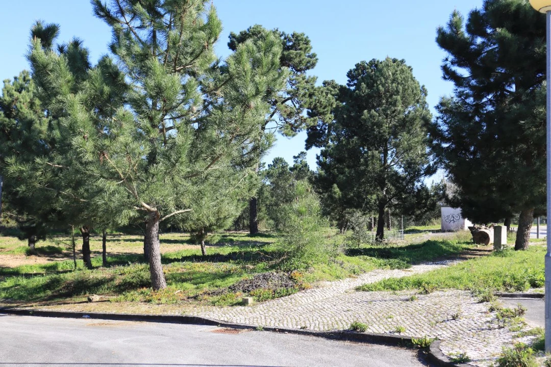 Terreno para Venda em Charneca da Cotovia Foto 5