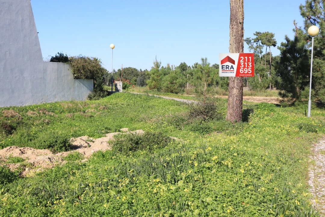 Terreno para Venda em Charneca da Cotovia Foto 7