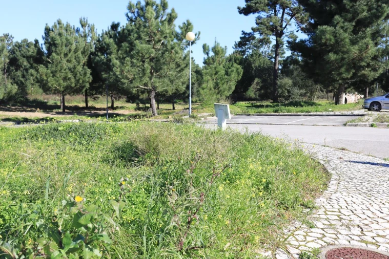 Terreno para Venda em Charneca da Cotovia Foto 4