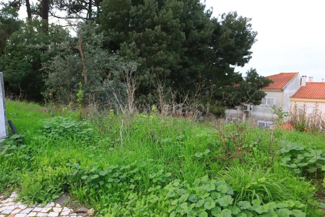 Terreno para Venda em Parral Foto 2