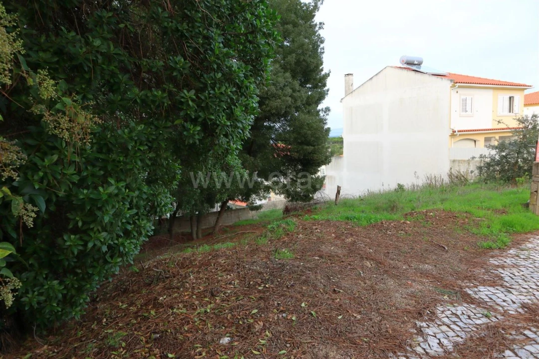 Terreno para Venda em Parral Foto 5