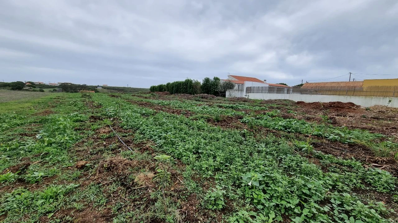 Terreno para Venda em Azóia de cima Foto 3
