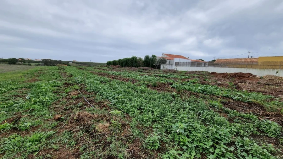 Terreno para Venda em Azóia de cima Foto 3